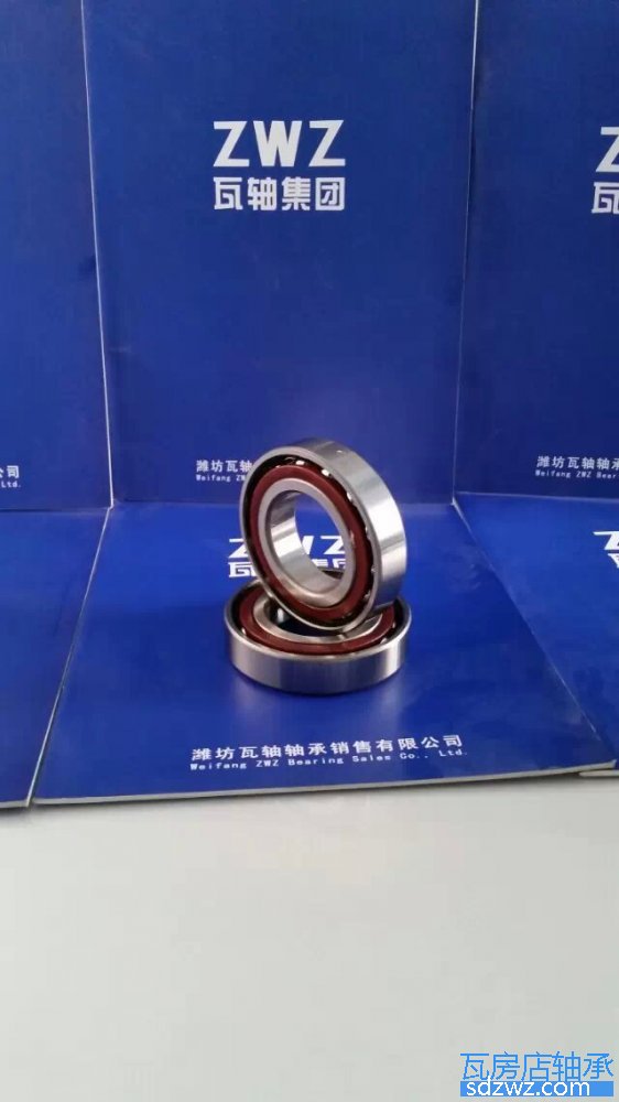 配對角接觸球軸承 7313BM/DF配對角接觸球軸承